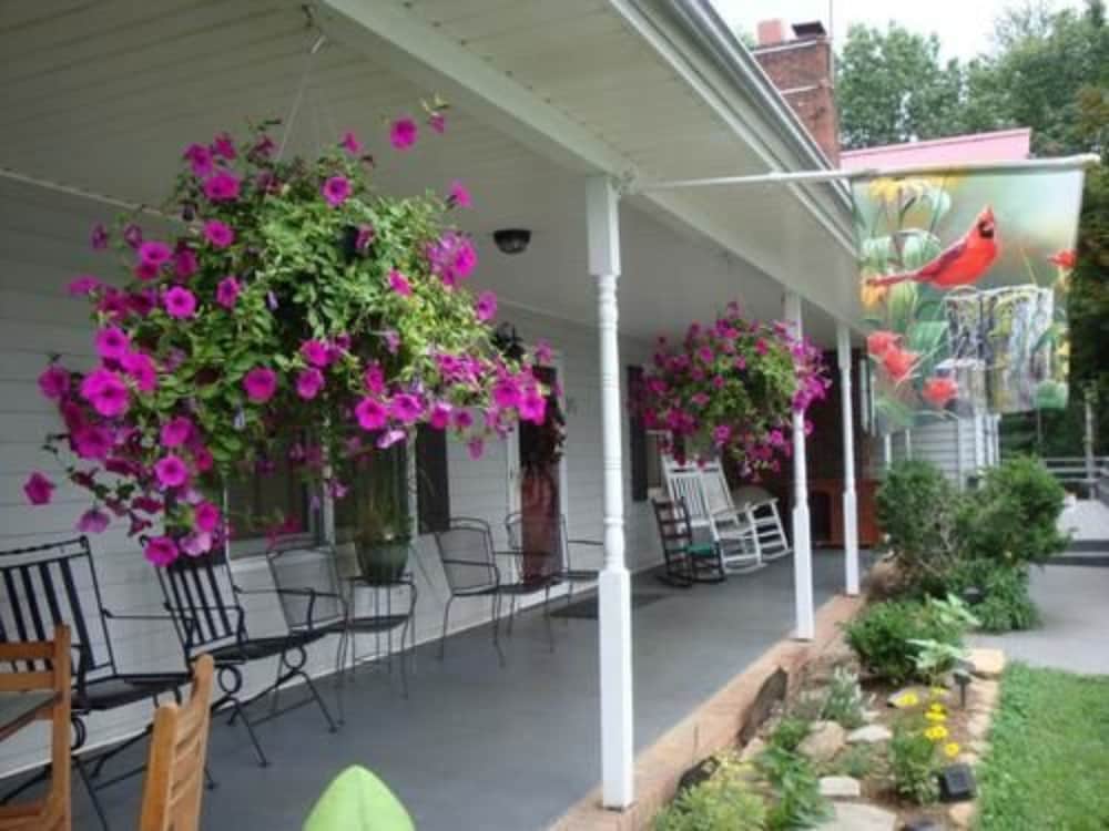 Photo 41