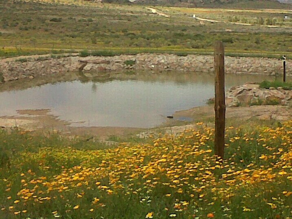 Namastat Lodge & Caravan Park