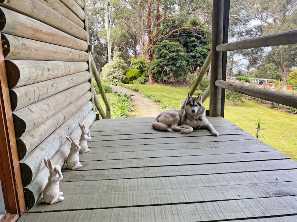 Groovy Log House Lorne Ocean View Log House Pet Friendly Freshly Renovated
