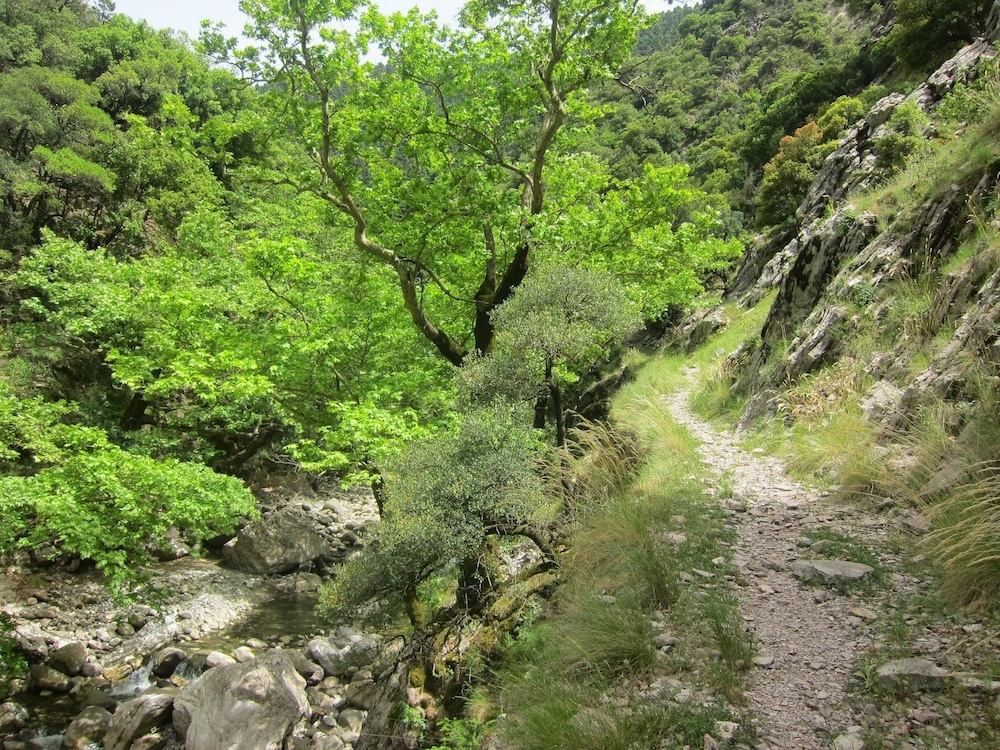 Oreini Nafpaktia Houses view 2