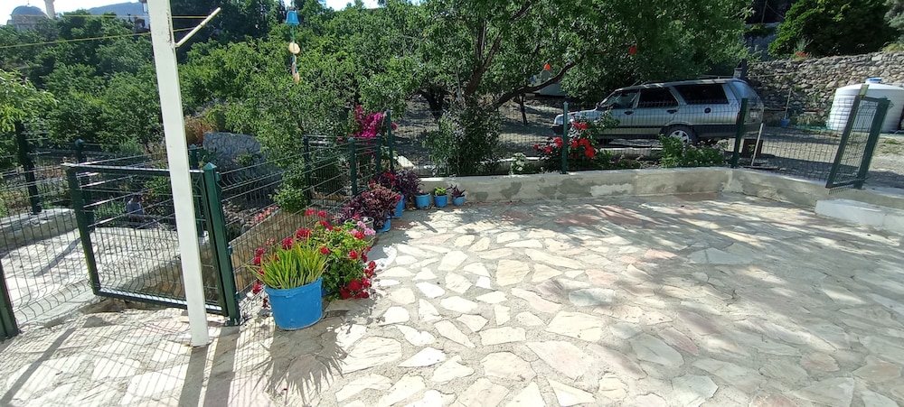 Photo 10
