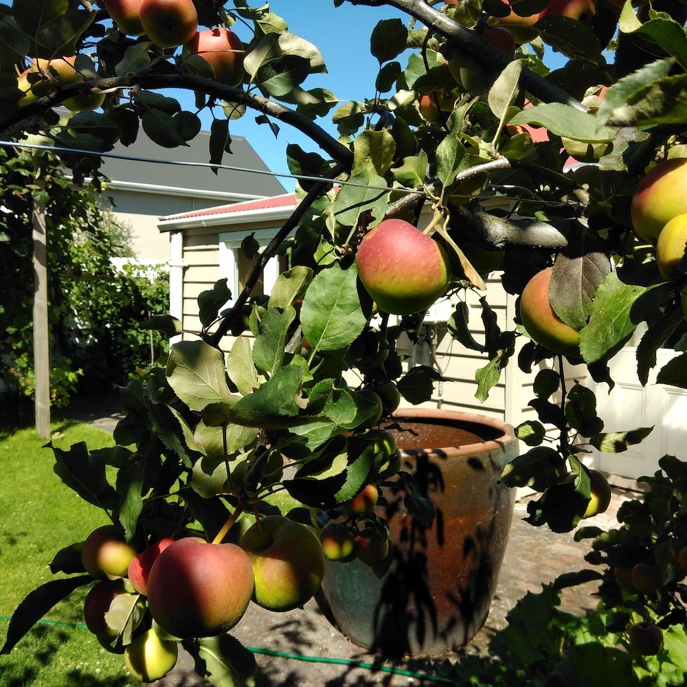 Photo 45