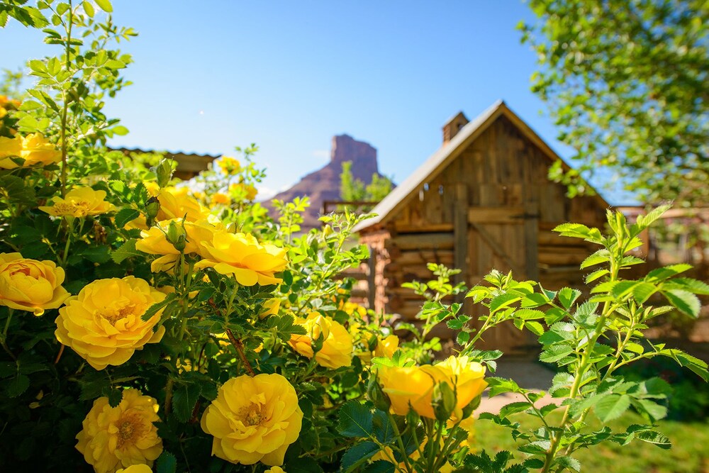 Sorrel River Ranch Resort
