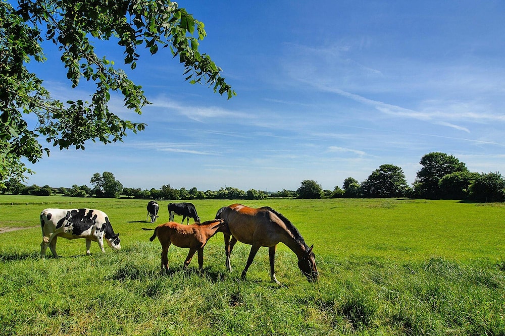 Doppelhaushaelfte Posthus, Behrendorf