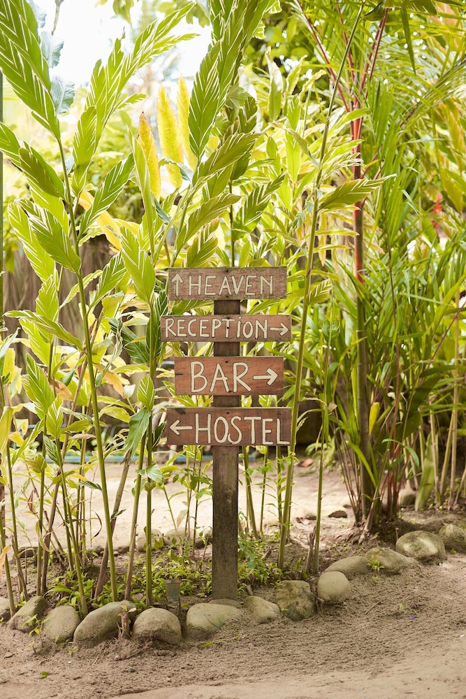 Playa 506 Beachfront Hostel