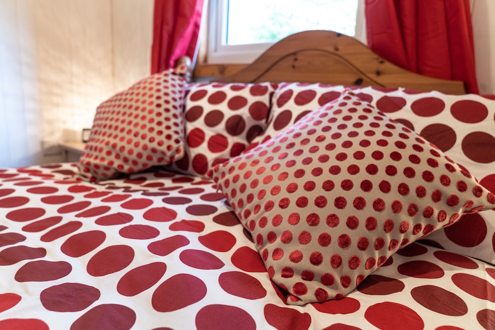 Bluebell Lodge set in a Beautiful 24 Acre Woodland Holiday Park view 4
