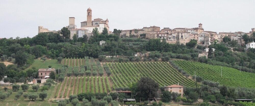 Agriturismo Vecchia Monta
