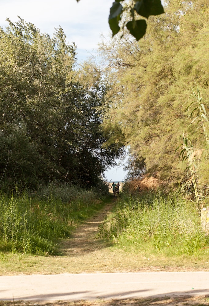 Photo 31