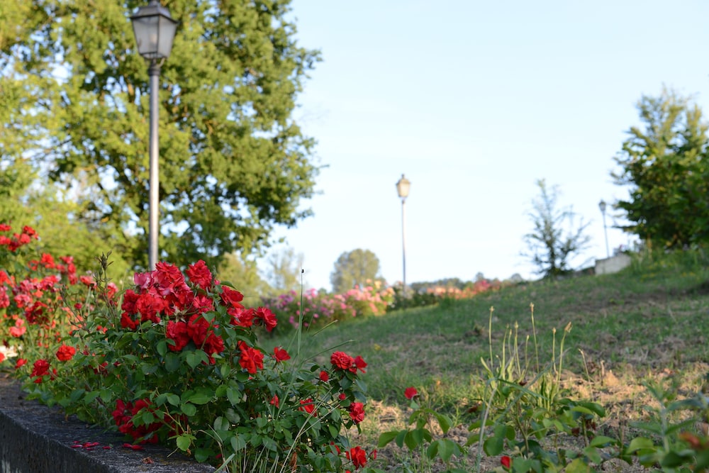 Monferrato Resort