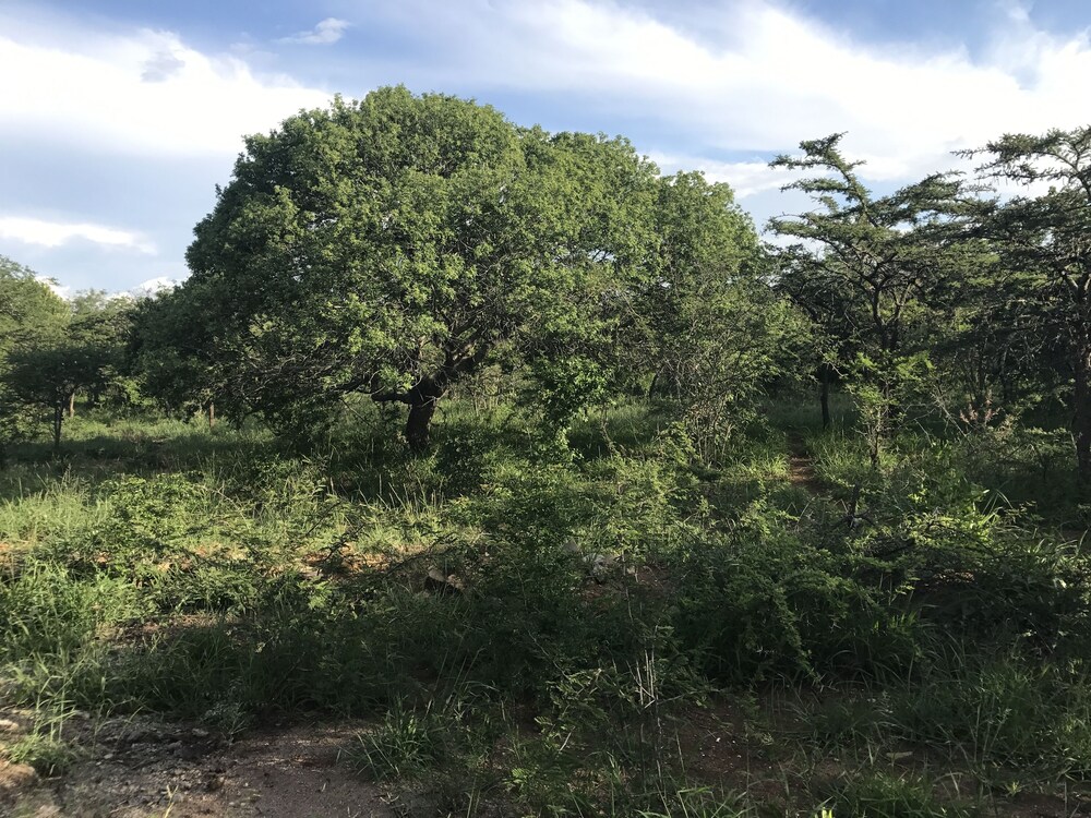 Our Place