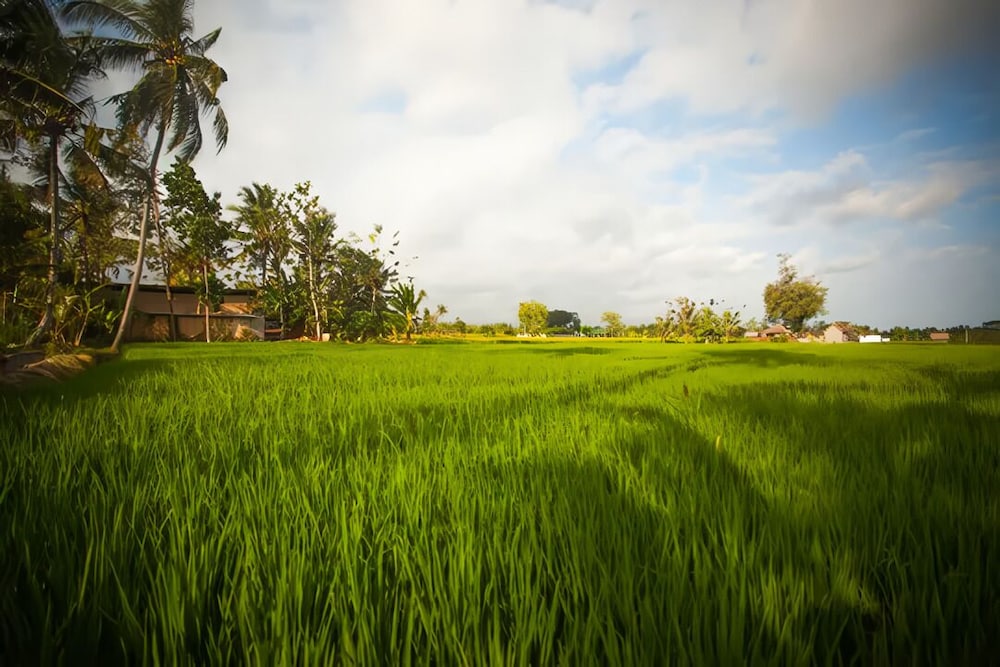 The Kanjeng Villa & Resort Ubud - Bali