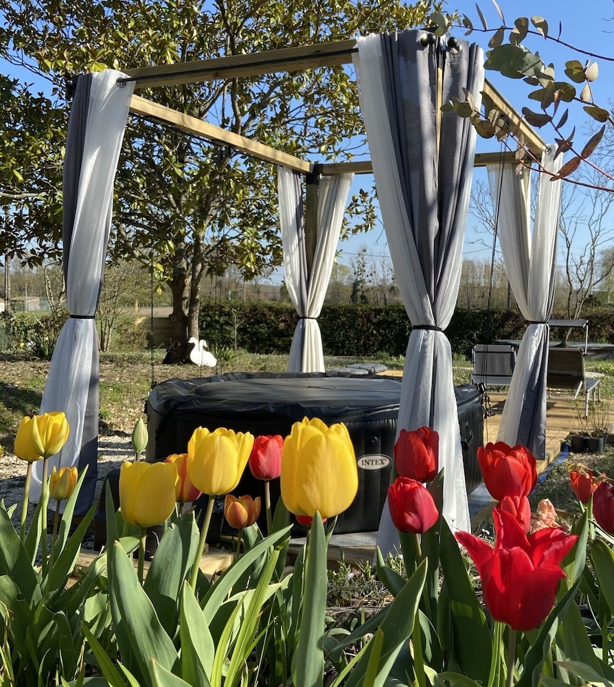 Flo  Marc les hotes de Chouzy-sur-Cisse - Property Image 41