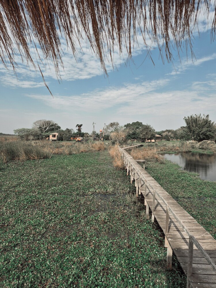 Wild Wetlands Lodge