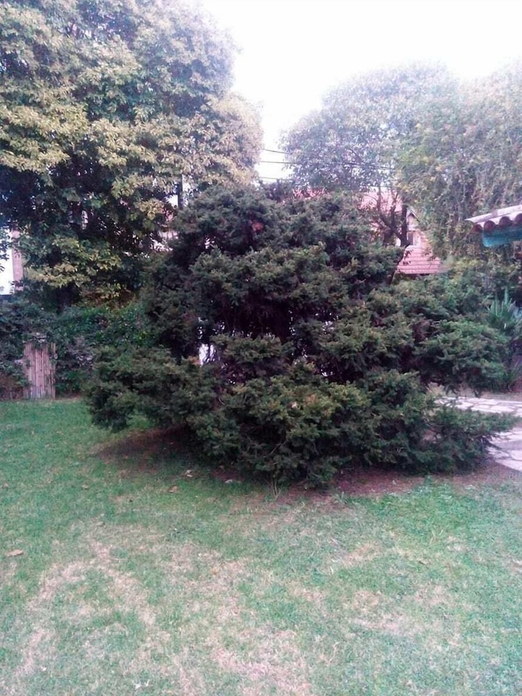 La gardenia