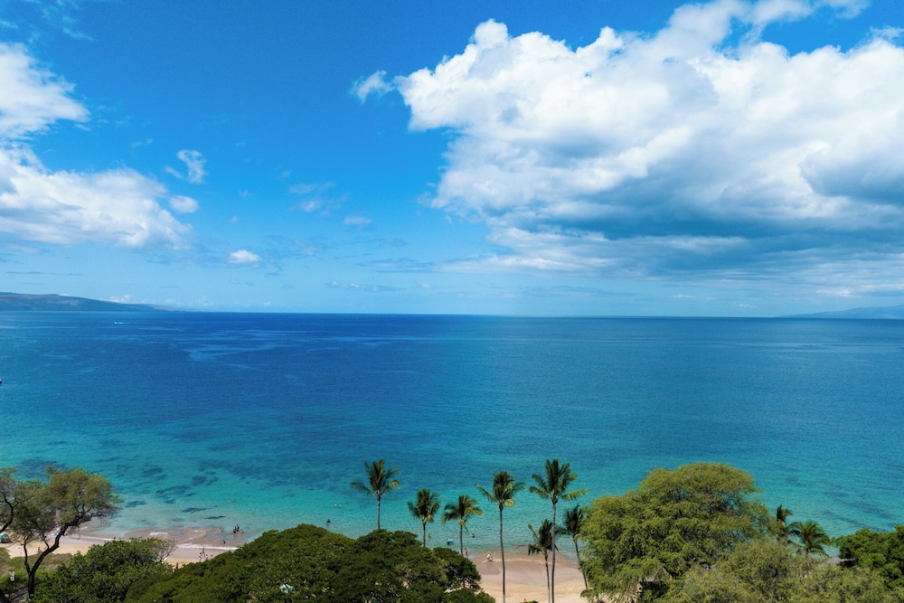 Calina's Maui Parkshore Kam lll view 5