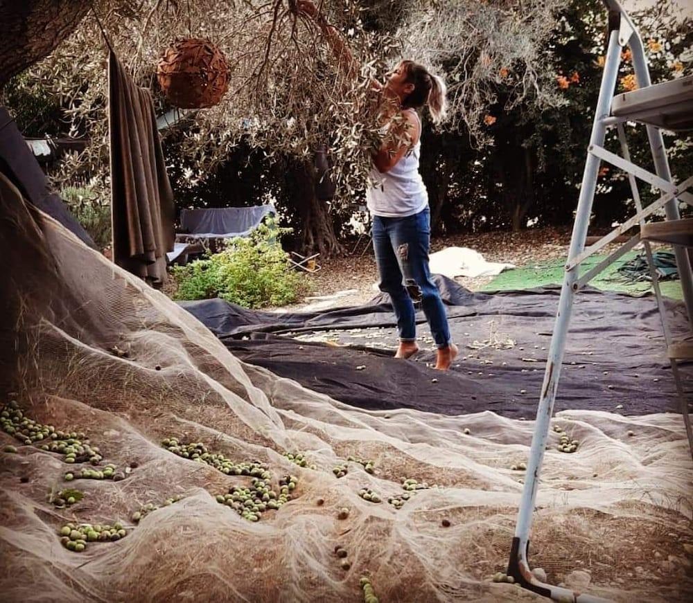Galilee Bedouin Camplodge