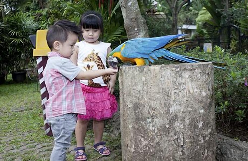 Royal Safari Garden Resort & Convention