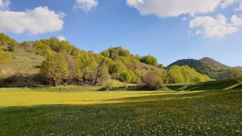 Joen Village