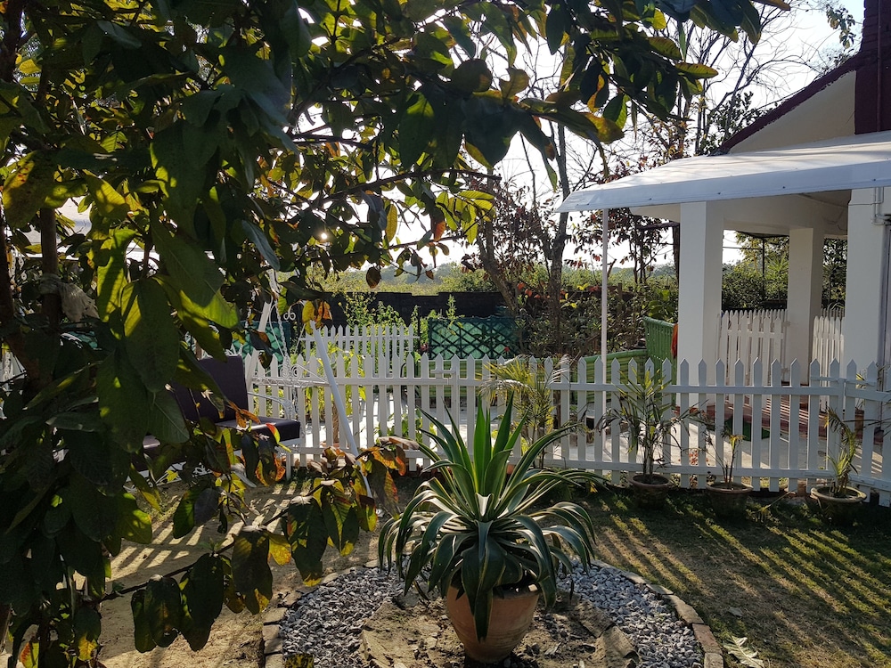 Koko's Farm