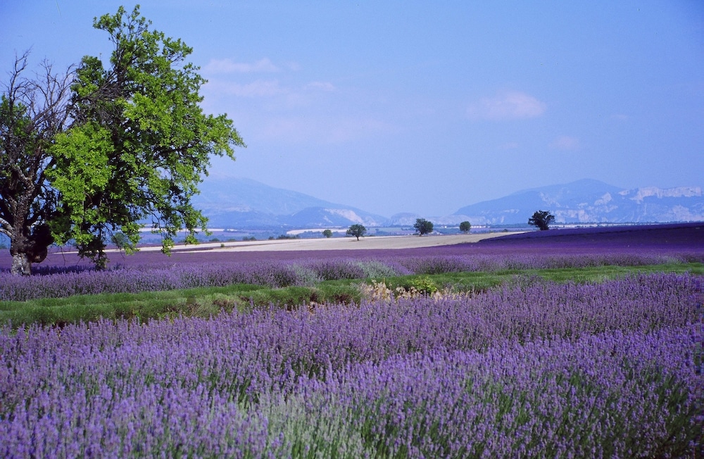 Village Vacances Le Richelme