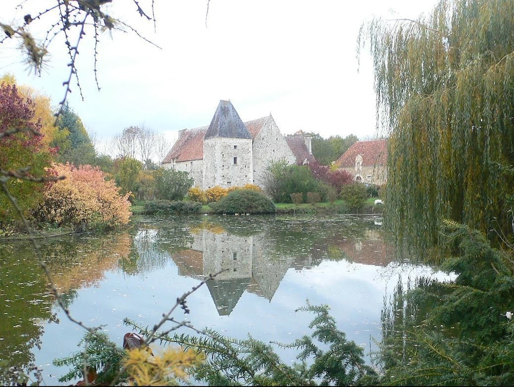 Photo 12