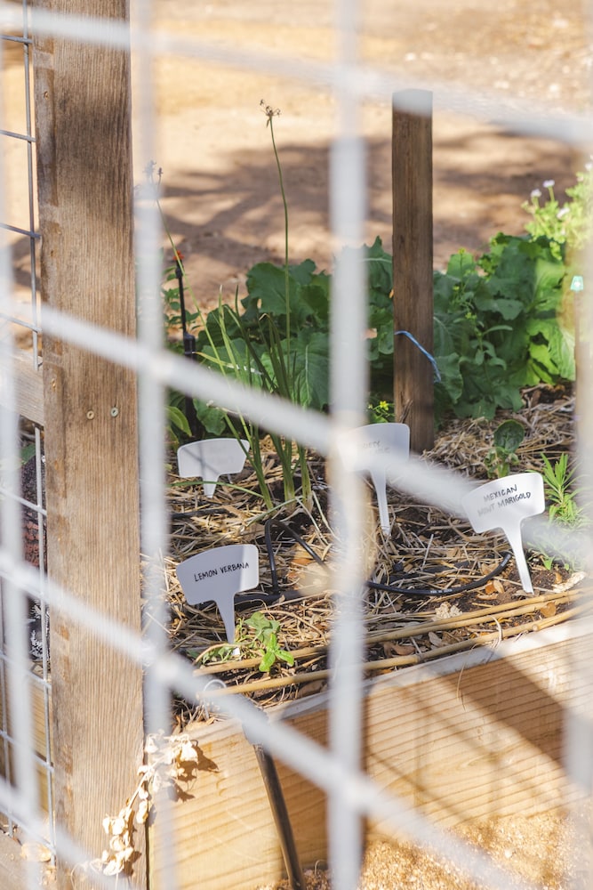The Macaw Yurt at Camposanto ATX Glamping on Lake Travis