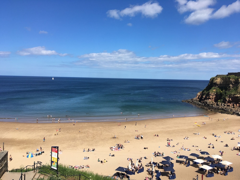 Limpet Lodge