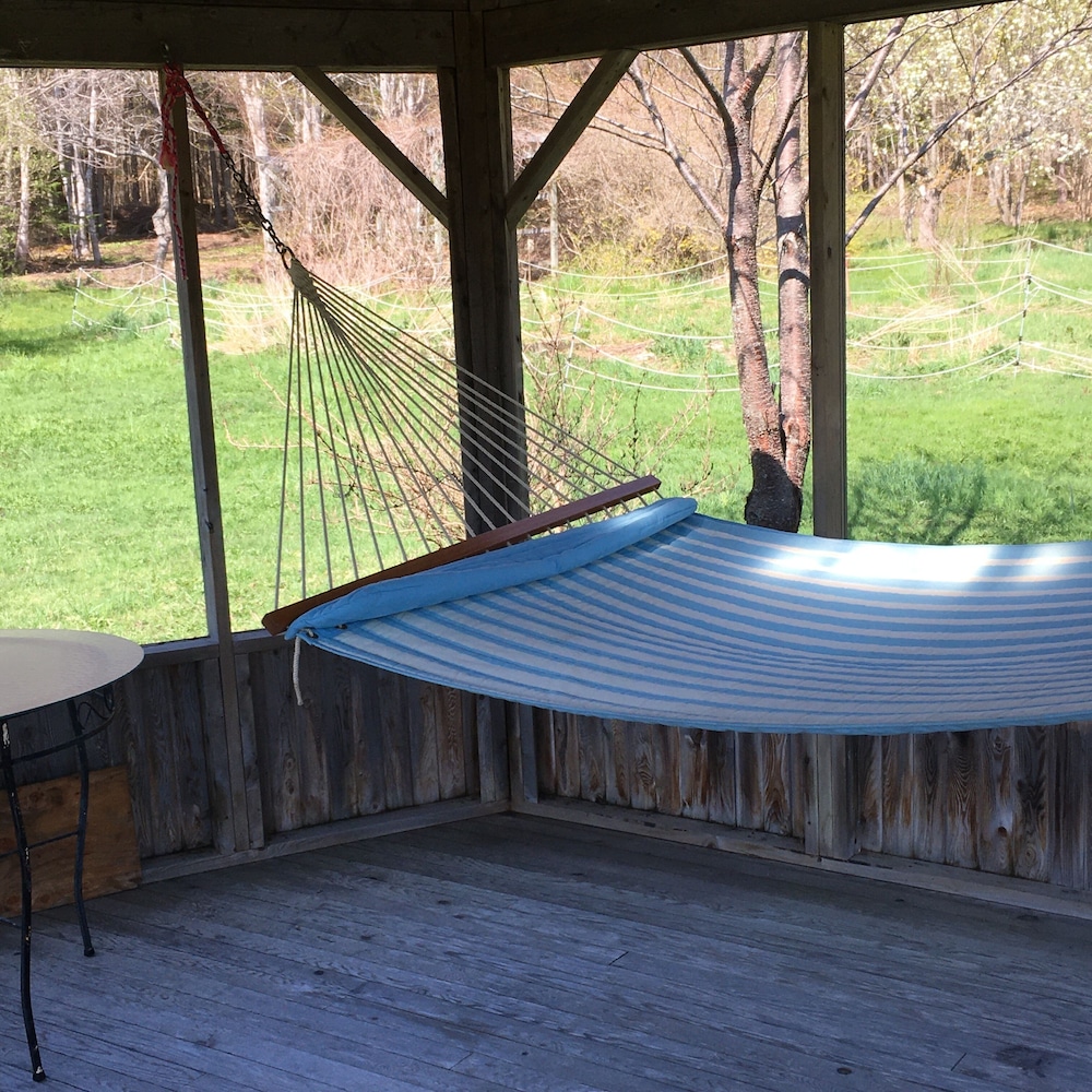 Willow Retreat - Campsite view 5