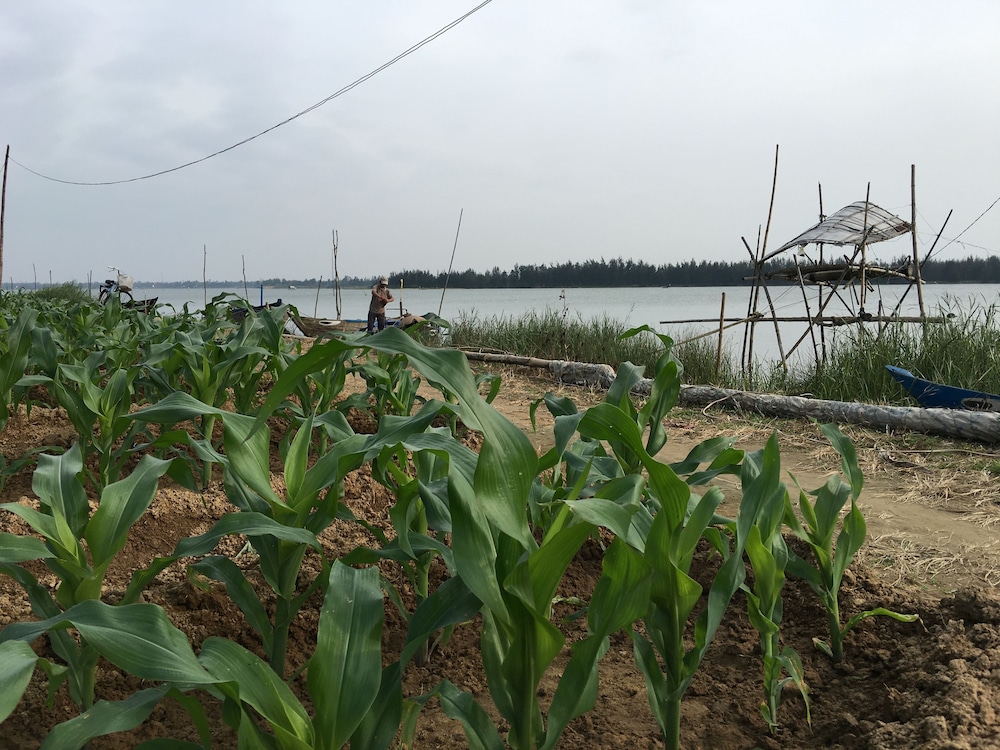 Riverside Hamlet Homestay & Villas