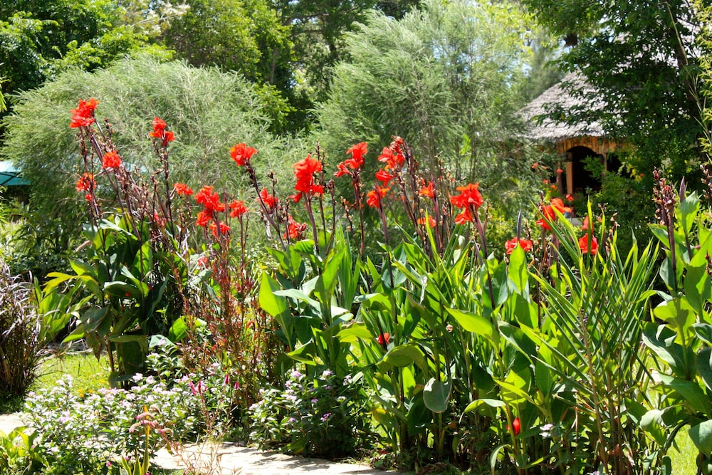 The Vijiji Center Lodge and Safari