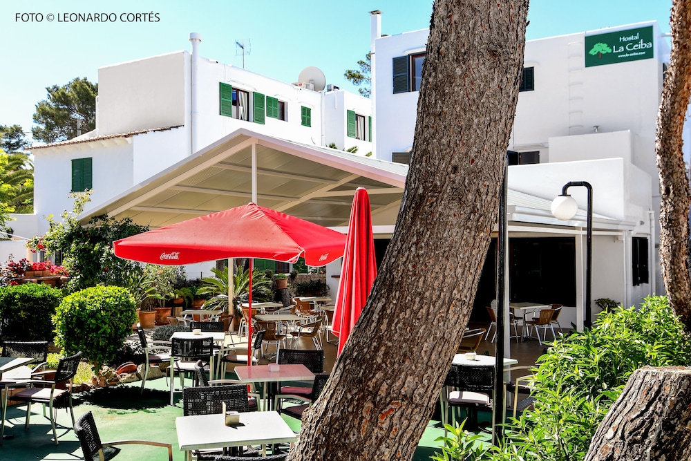 Hostal la Ceiba