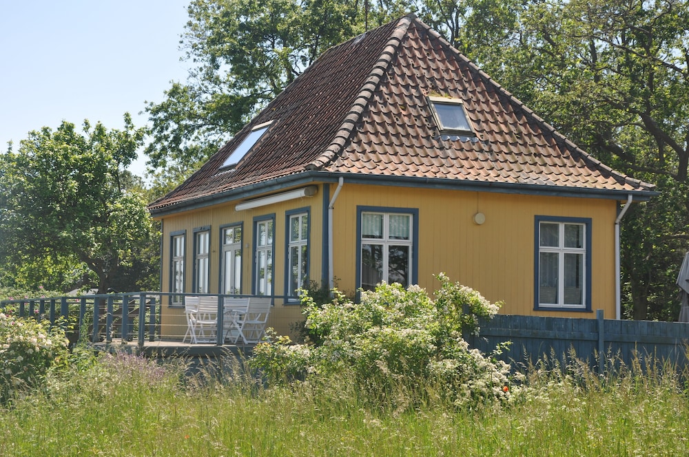 Photo 42