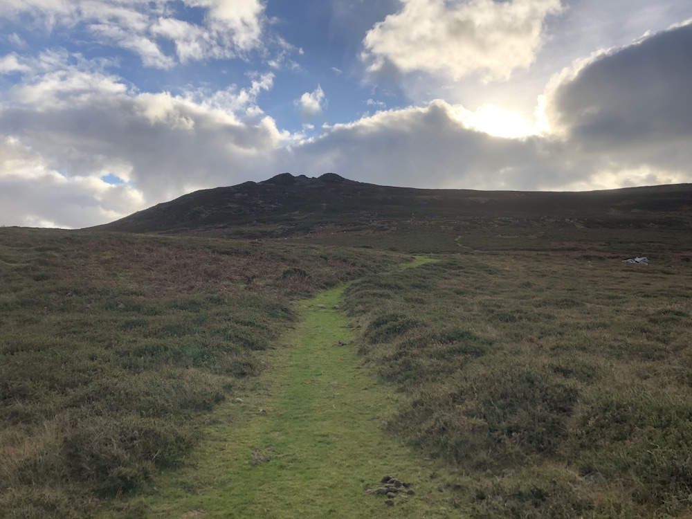 Penfeidr Newydd