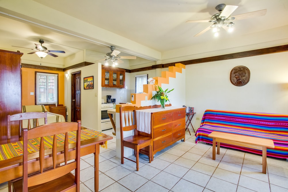 Buttonwood Belize