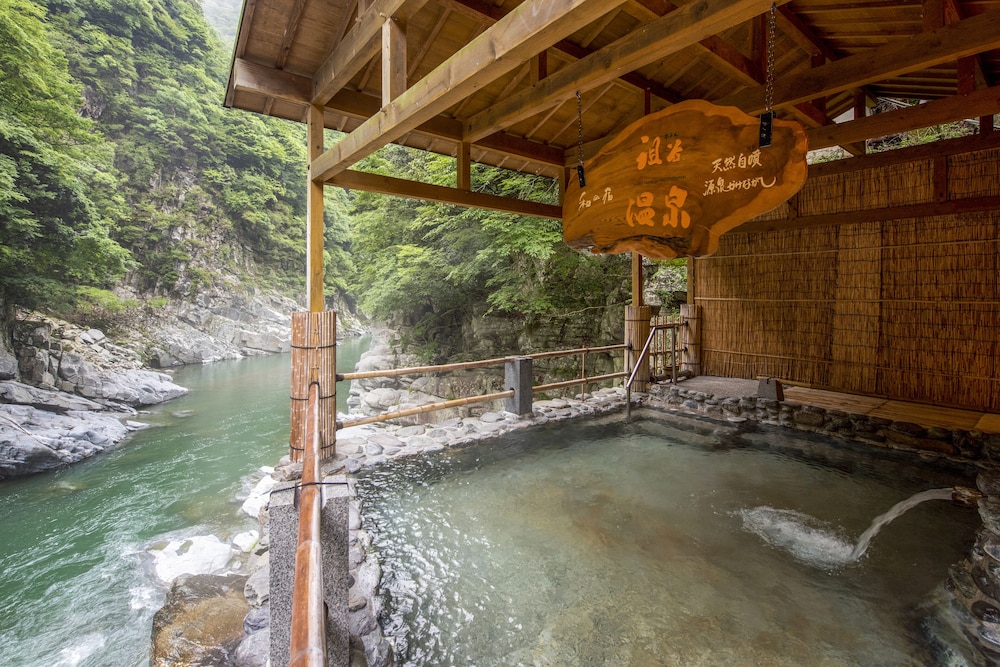 Hotel Iyaonsen