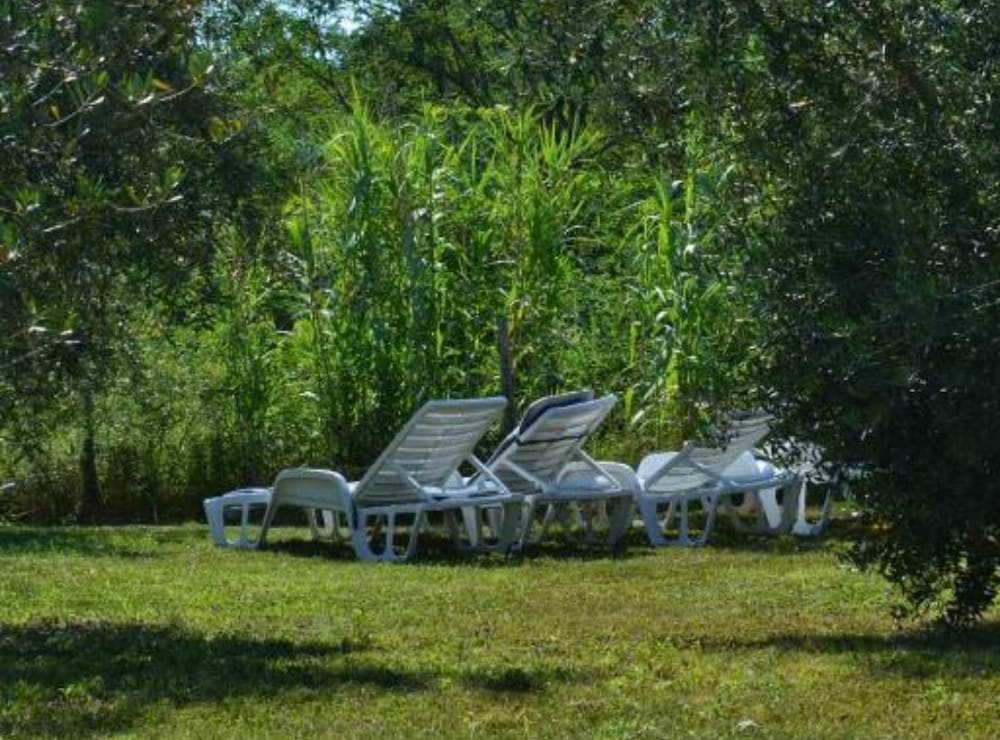 House in Nature