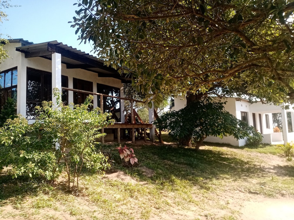 Photo 46