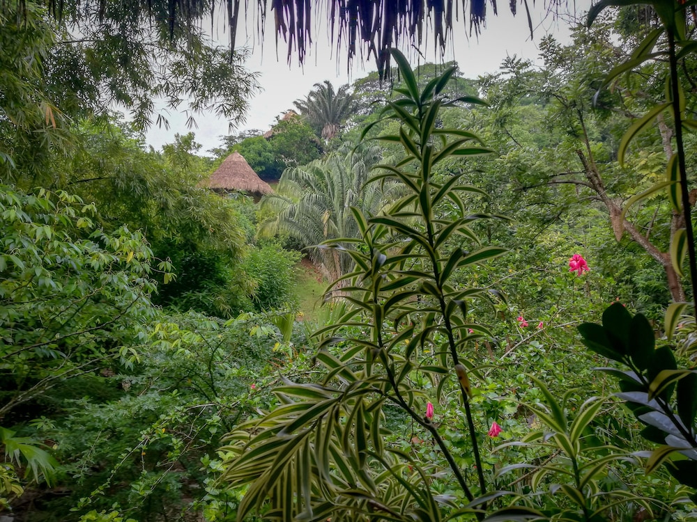 Ecohabs Bosques del Tayrona