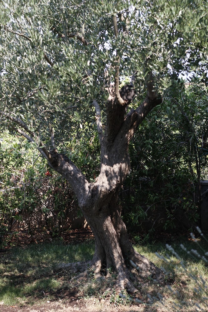 Photo 27