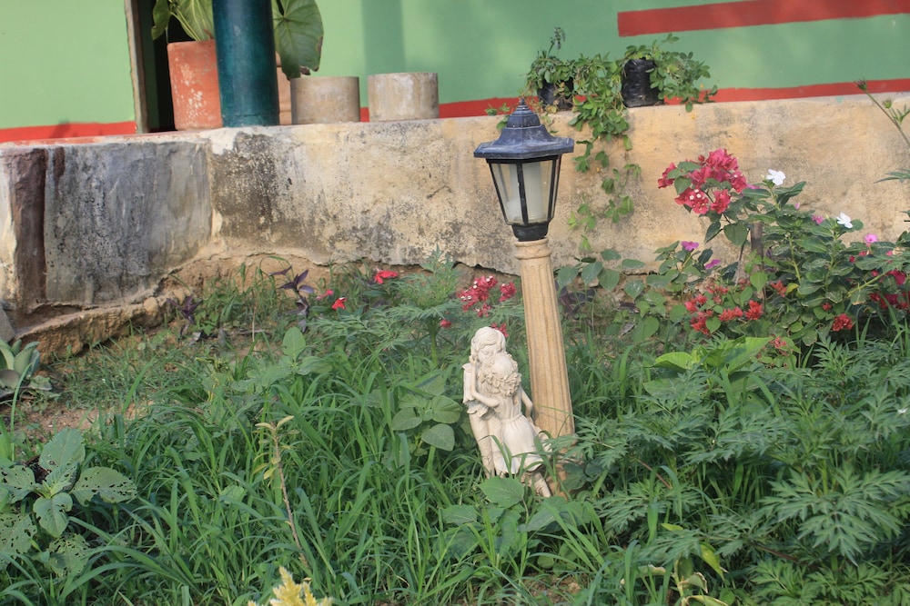 Photo 20