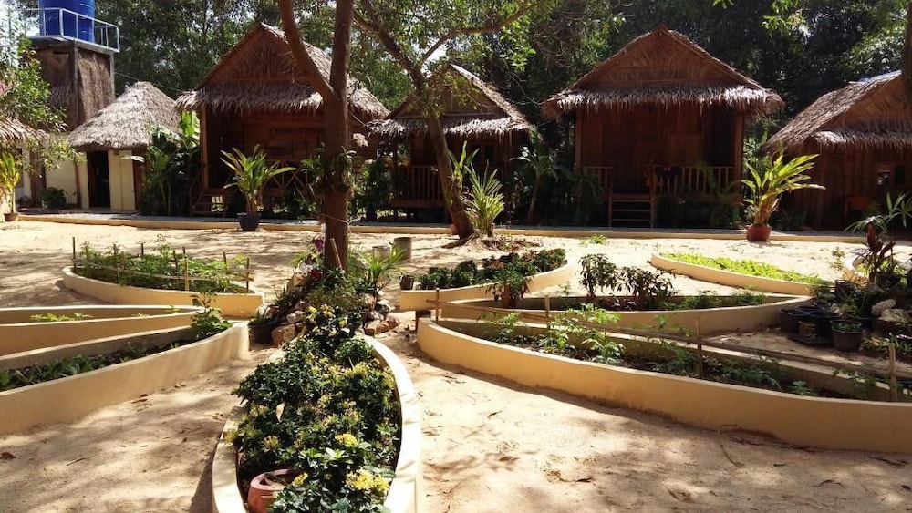 Mangroves & More