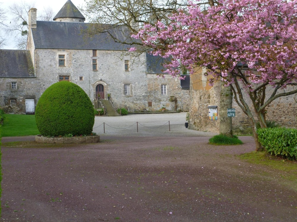 Photo 42