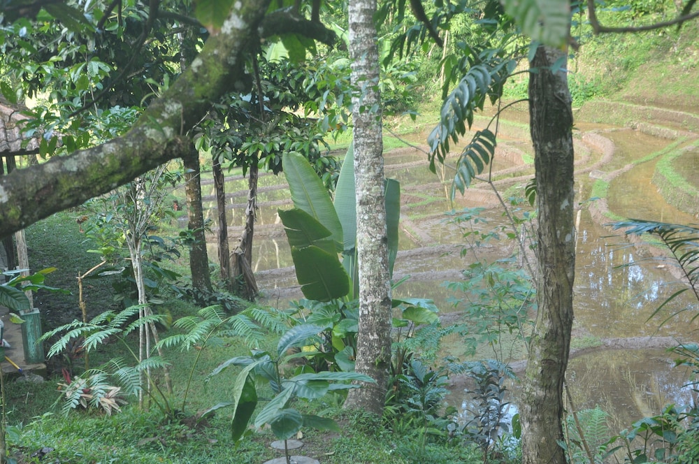 Tepi Sawah Lodge