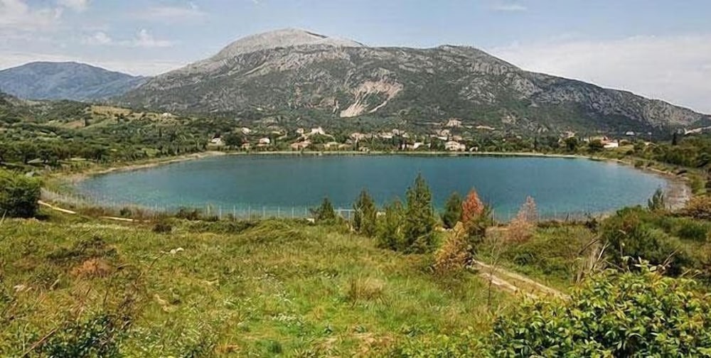 Photo 51