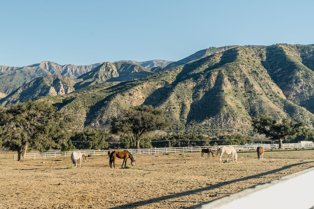 Rancho Oso RV & Camping Resort