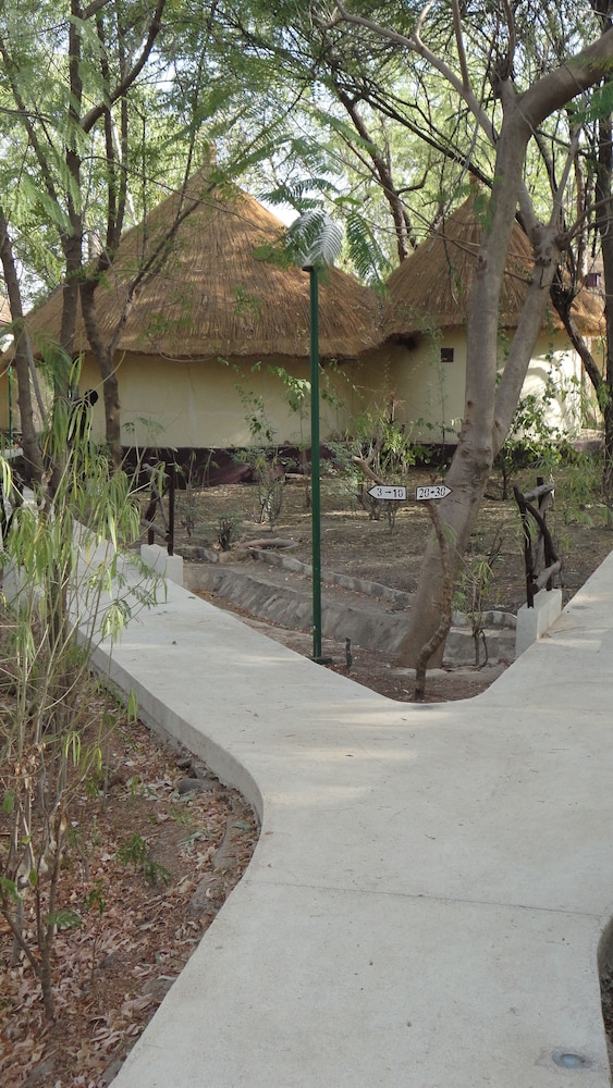 Photo 42