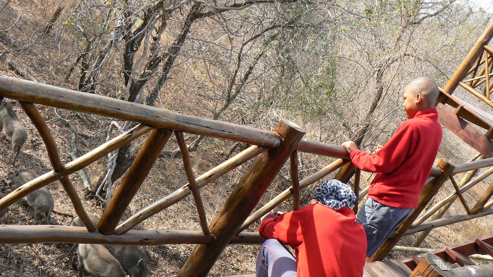 Lion Tree Bush Lodge