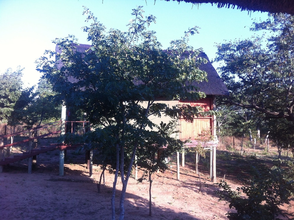 Lion Roars Lodge