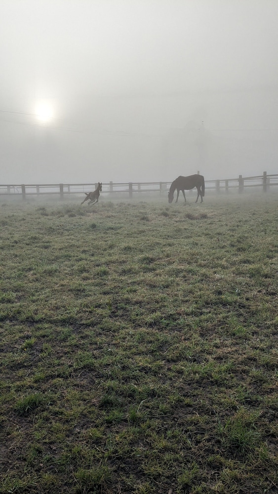 Le Haras D'havetot