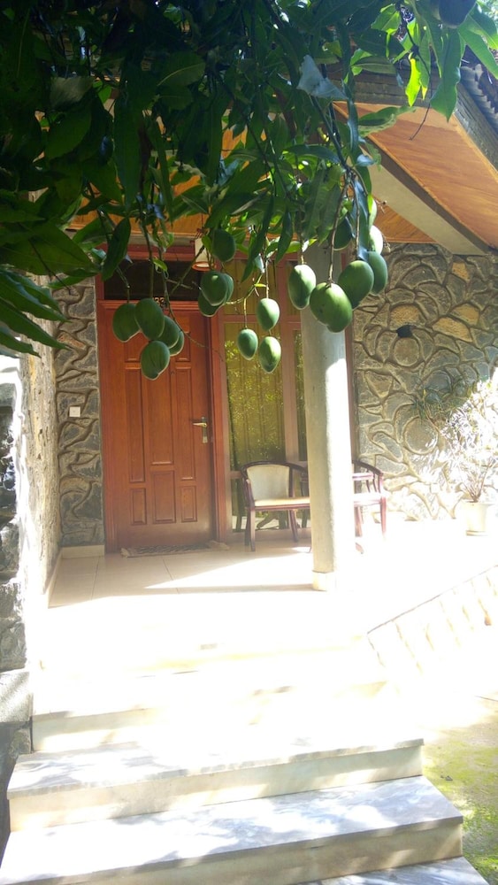 Abay Minch Lodge